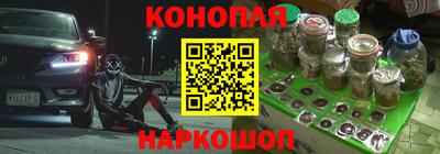 твердый Кингисепп