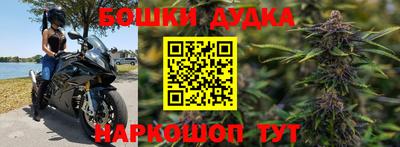 твердый Кингисепп
