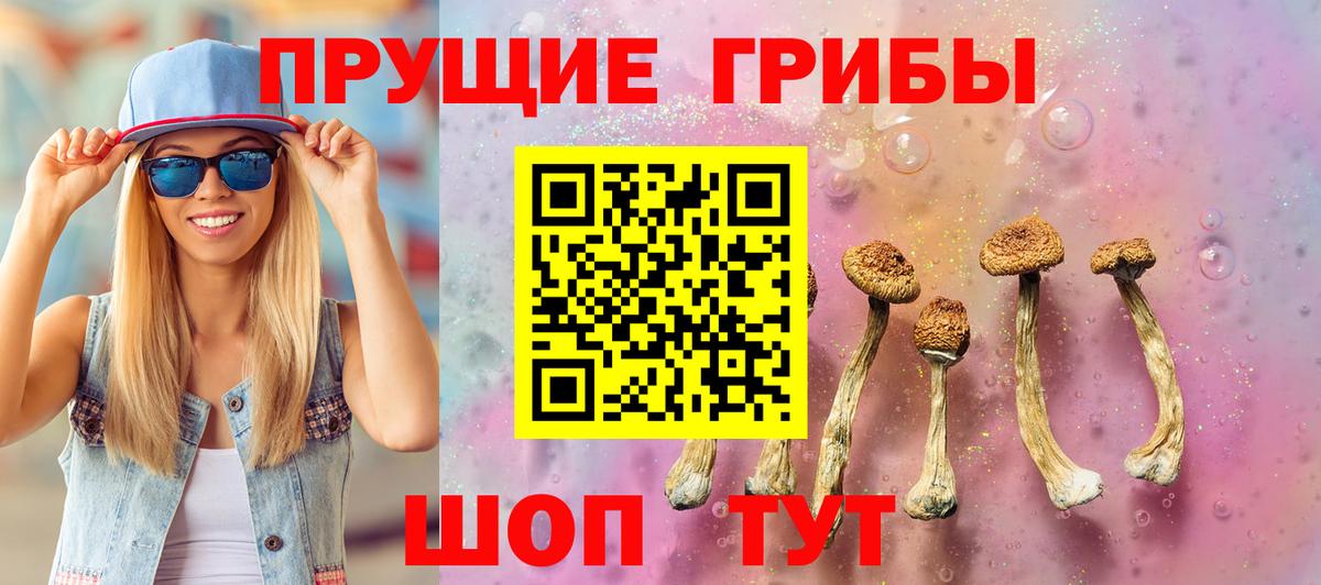 Псилоцибиновые грибы мицелий  Галлюциногенные грибы Cubensis  Чернушка  Вход с VPN 